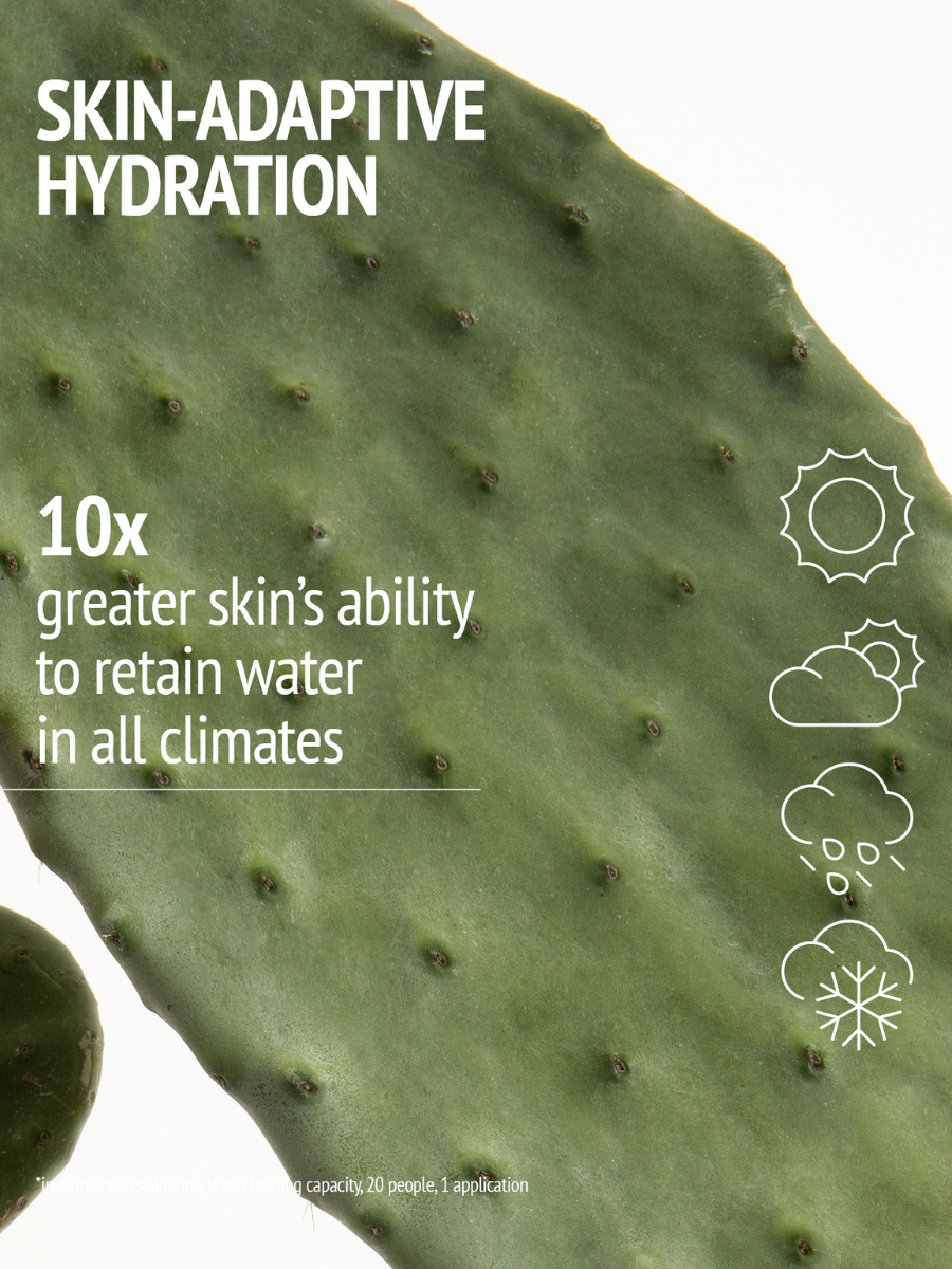 Hydramemory Rich Sorbet Cream 50ml