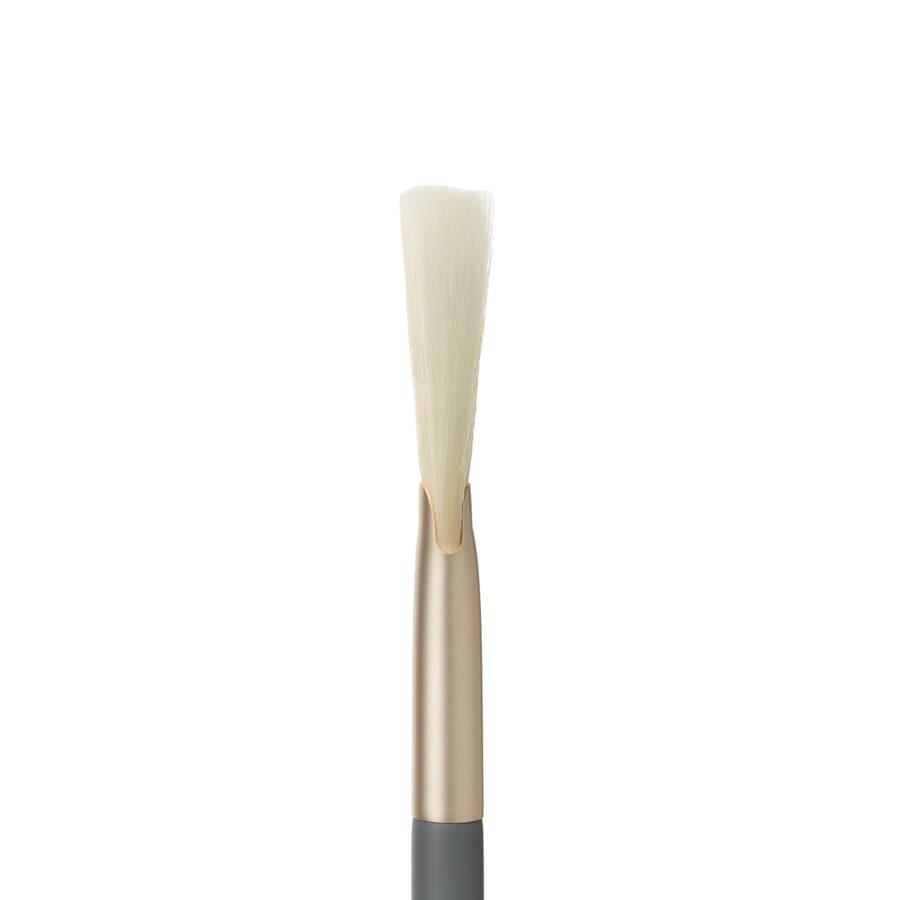 Fan Brush